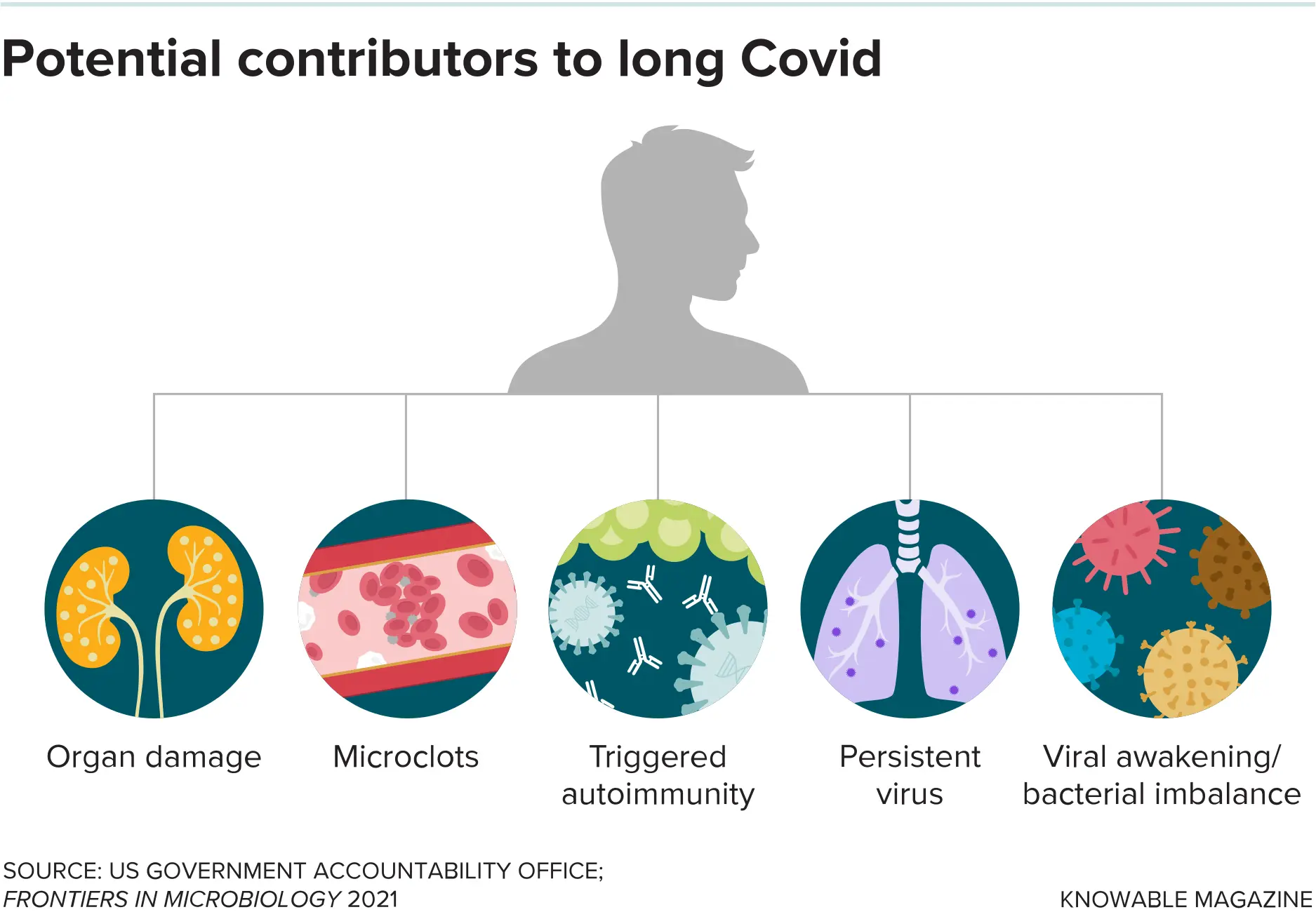 Even if the immune system successfully clears a Covid infection