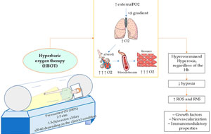 Applications, Mechanisms and Translational Opportunities